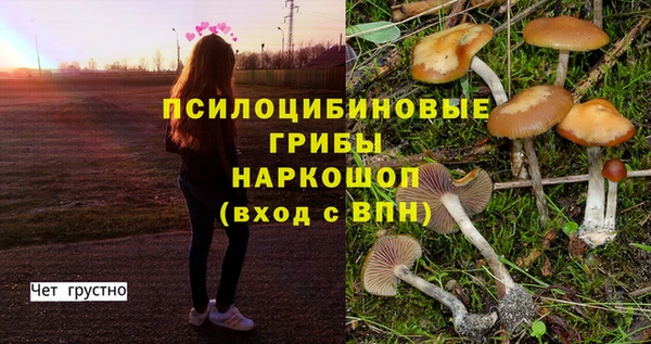 тгк Алексеевка