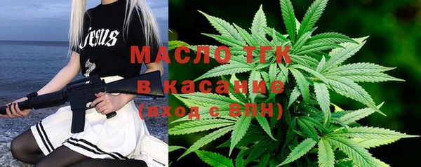 твердый Протвино